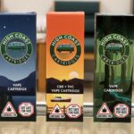 Store – gallery image 5