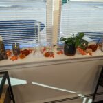 Store – gallery image 1