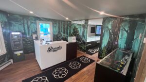Elevate Maine – Medical Cannabis — South Portland, ME