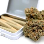 Store – gallery image 3