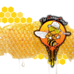 Store – gallery image 5