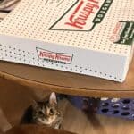 Store – gallery image 4