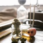 Store – gallery image 3