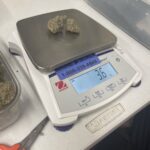 Store – gallery image 3