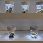 Store – gallery image 2