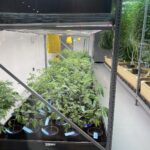 Store – gallery image 4