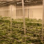 Store – gallery image 4