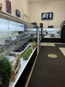 Above All Greenery — Newfield, ME