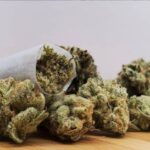 Store – gallery image 2