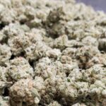 Store – gallery image 4