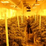 Store – gallery image 5