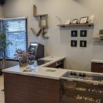 Store – gallery image 3