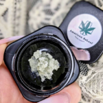 Store – gallery image 3