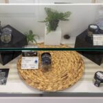 Store – gallery image 3