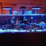 Store – gallery image 5