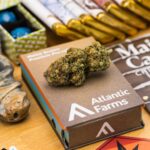 Store – gallery image 3