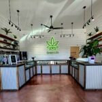 Store – gallery image 4