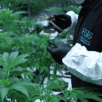 Store – gallery image 2