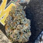 Store – gallery image 4