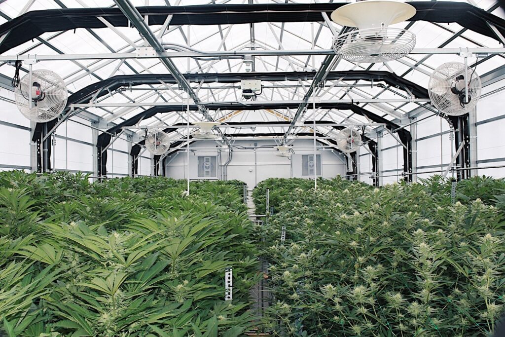 Store – main photo