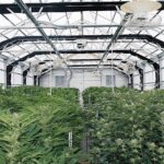 Store – gallery image 1