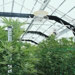 Store – gallery image 4