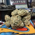 Store – gallery image 1