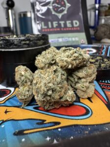 Lifted Maine — Houlton, ME