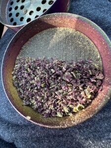 New England Reserve — Old Town, ME