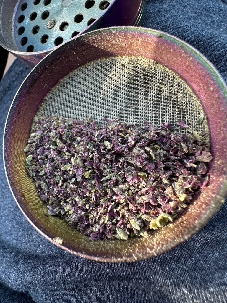 Store – main photo