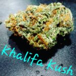 Store – gallery image 5