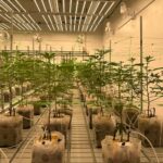 Store – gallery image 1