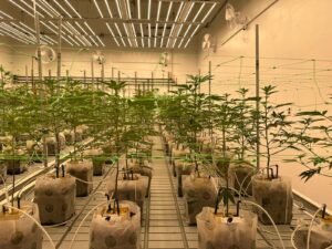 ReMaine Humble Farms Medical Weed Dispensary — Winslow, ME