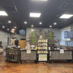 Store – gallery image 3