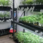 Store – gallery image 1