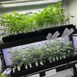 Store – gallery image 2