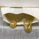 Store – gallery image 4