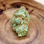 Store – gallery image 4