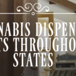 Store – gallery image 4