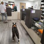 Store – gallery image 5