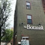 Store – gallery image 5