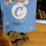 Store – gallery image 3