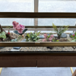 Store – gallery image 3