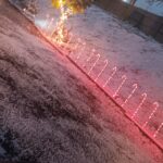 Store – gallery image 4