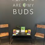 Store – gallery image 3