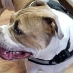 Store – gallery image 2