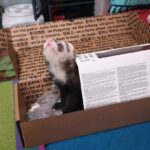 Store – gallery image 3