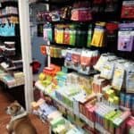 Store – gallery image 3