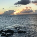 Store – gallery image 2