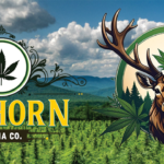 Store – gallery image 2